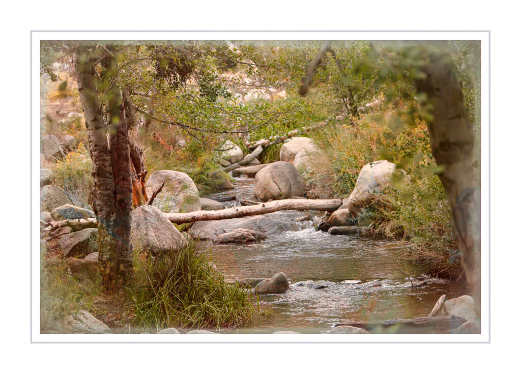 Stream