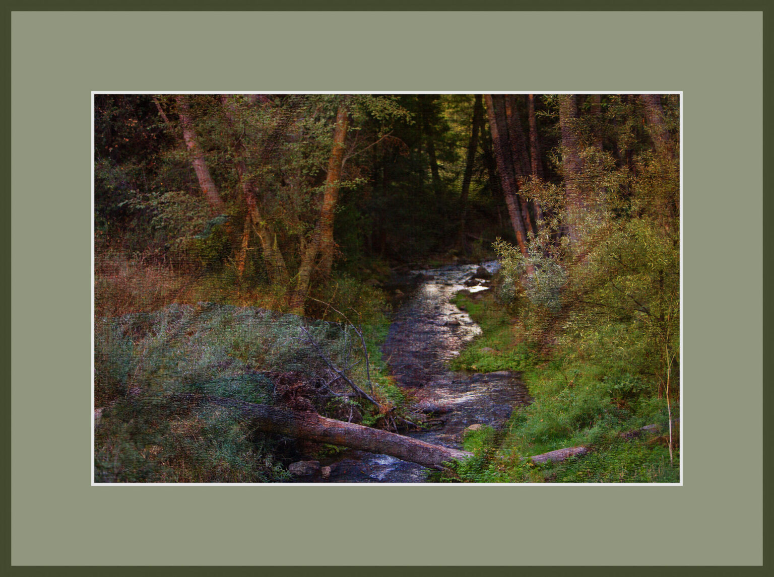Mountain Stream