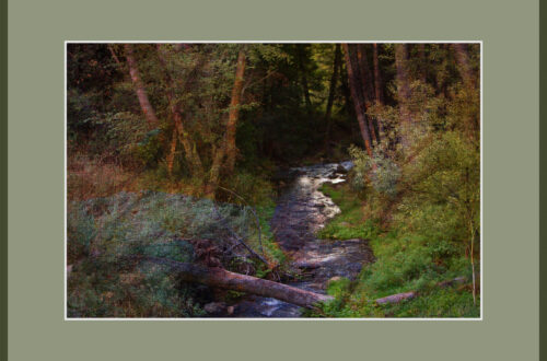 Mountain Stream