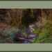 Mountain Stream