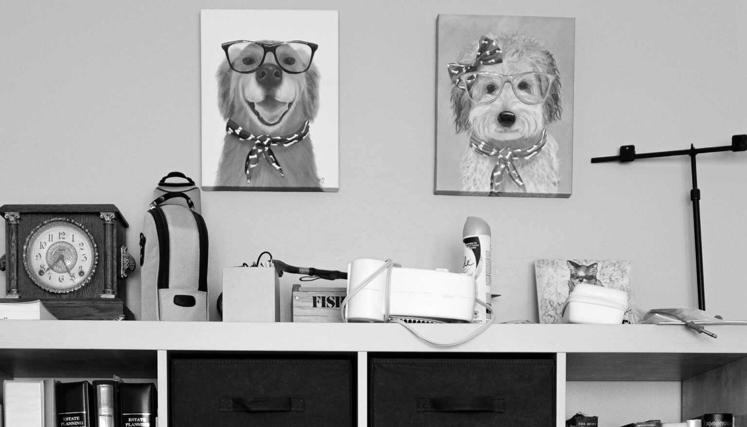 seeing eye dogs