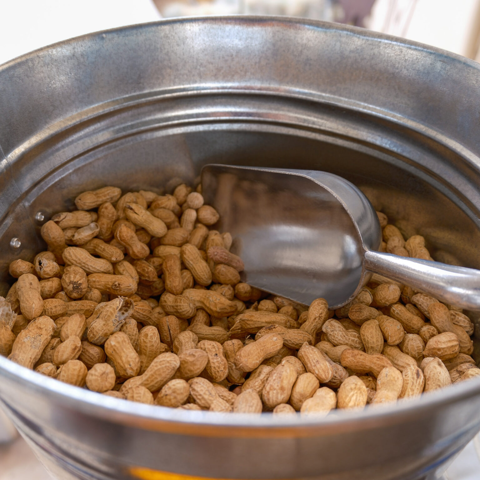 Peanuts safe from squirrels in metal container