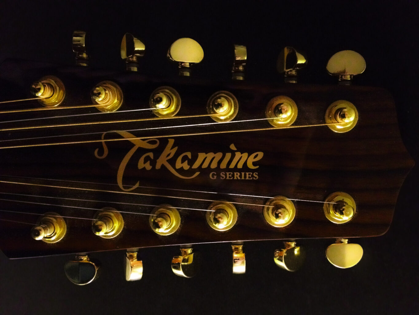 Takamine 12-string headstock