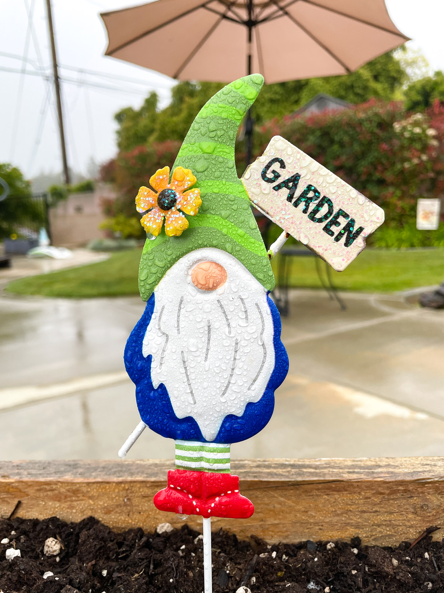 Garden Gnome in the Rain