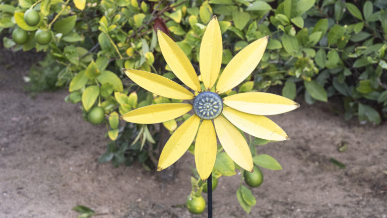 Wind Spinner & Lemon Tree