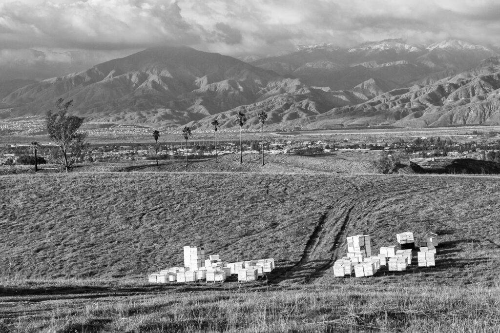 The Beekeeper of Crafton Hills