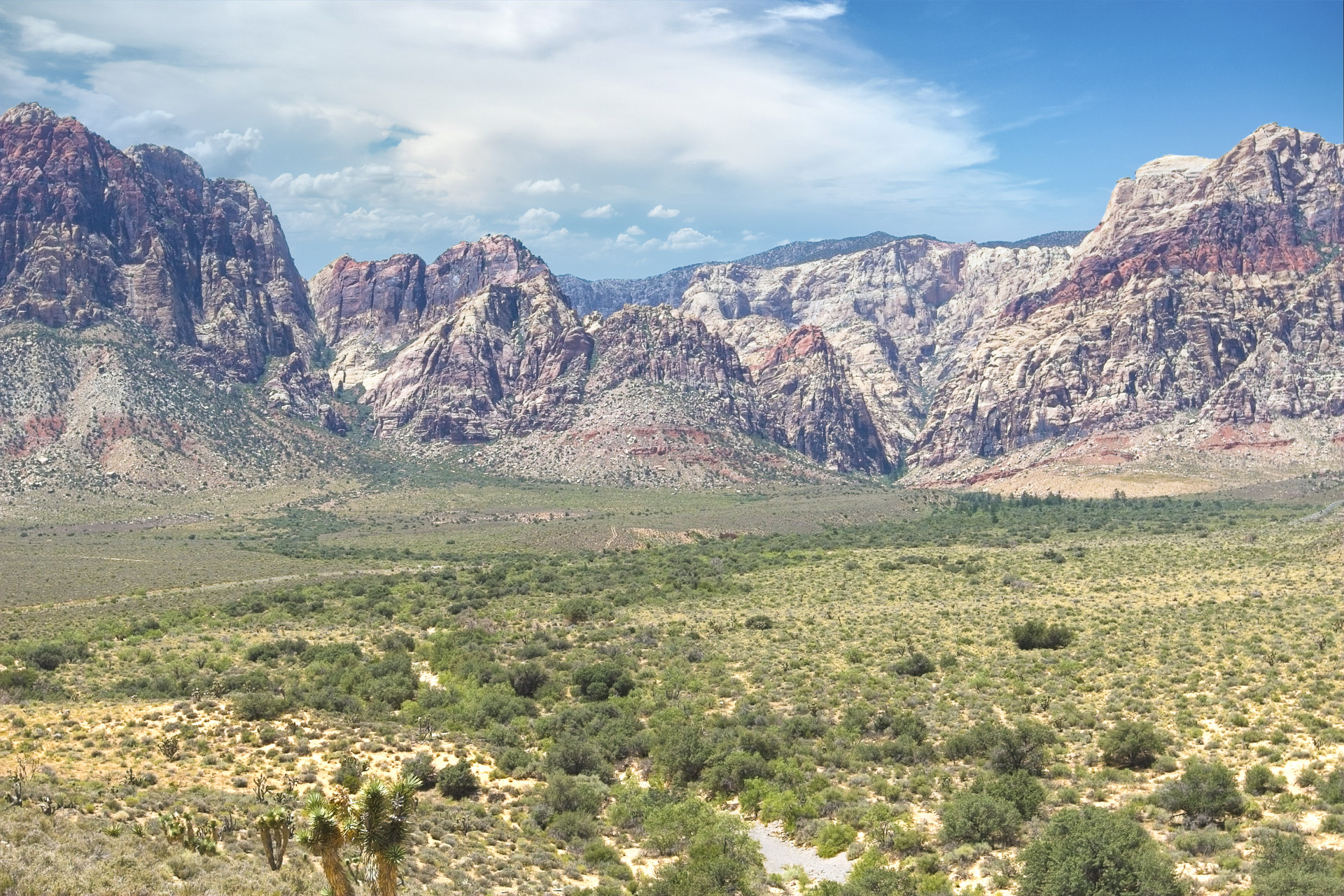 Colorful sandstone cliffs rise above the desert landscape at Red Rock Canyon near Las Vegas, Nevada.
