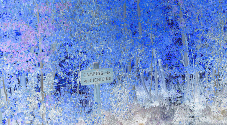 Color-altered woodland scene in shades of blue, purple, and pink, with a wooden sign directing visitors right to camping and left to picnicking.