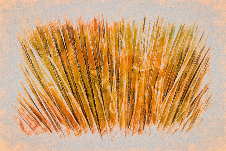 Abstract, textured image of slender black and white desert spoon trunks surrounded by golden-orange foliage against a pale gray background.