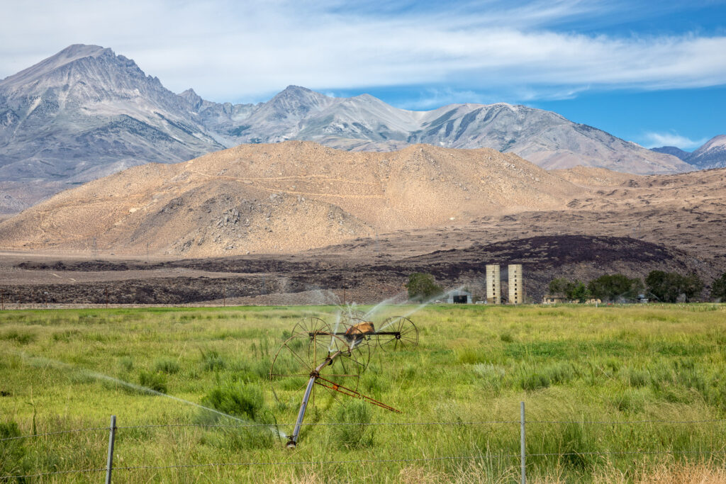 Irrigated Fields Beneath the Eastern Sierra