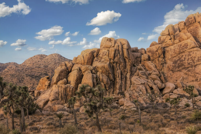 Massive granite rock formations and Joshua trees beneath a blue sky.