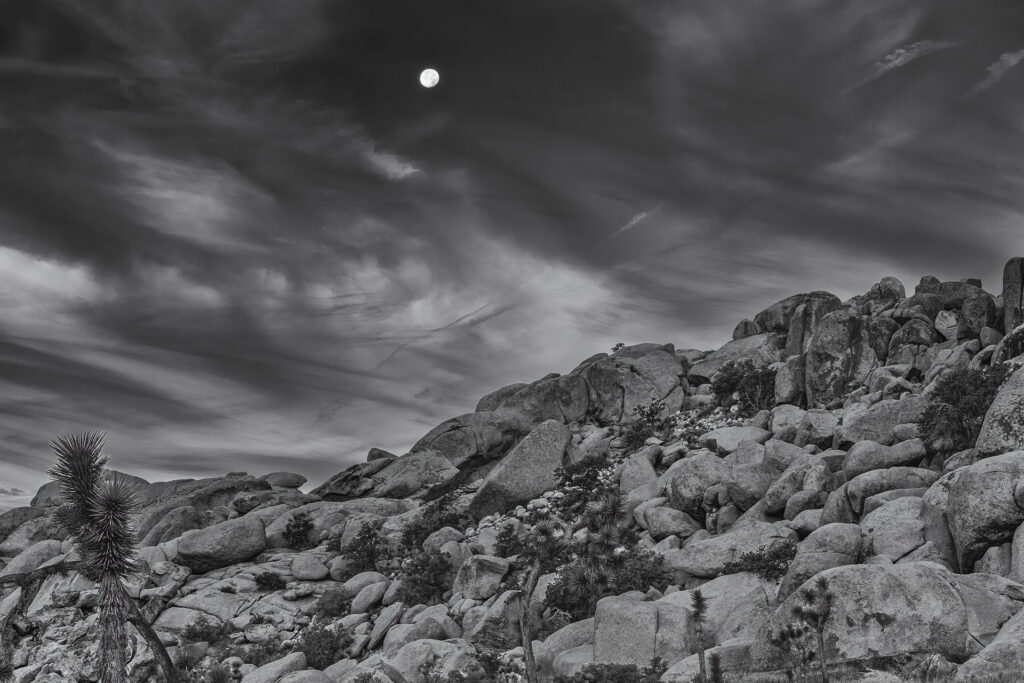 Moon at Joshua Tree NP