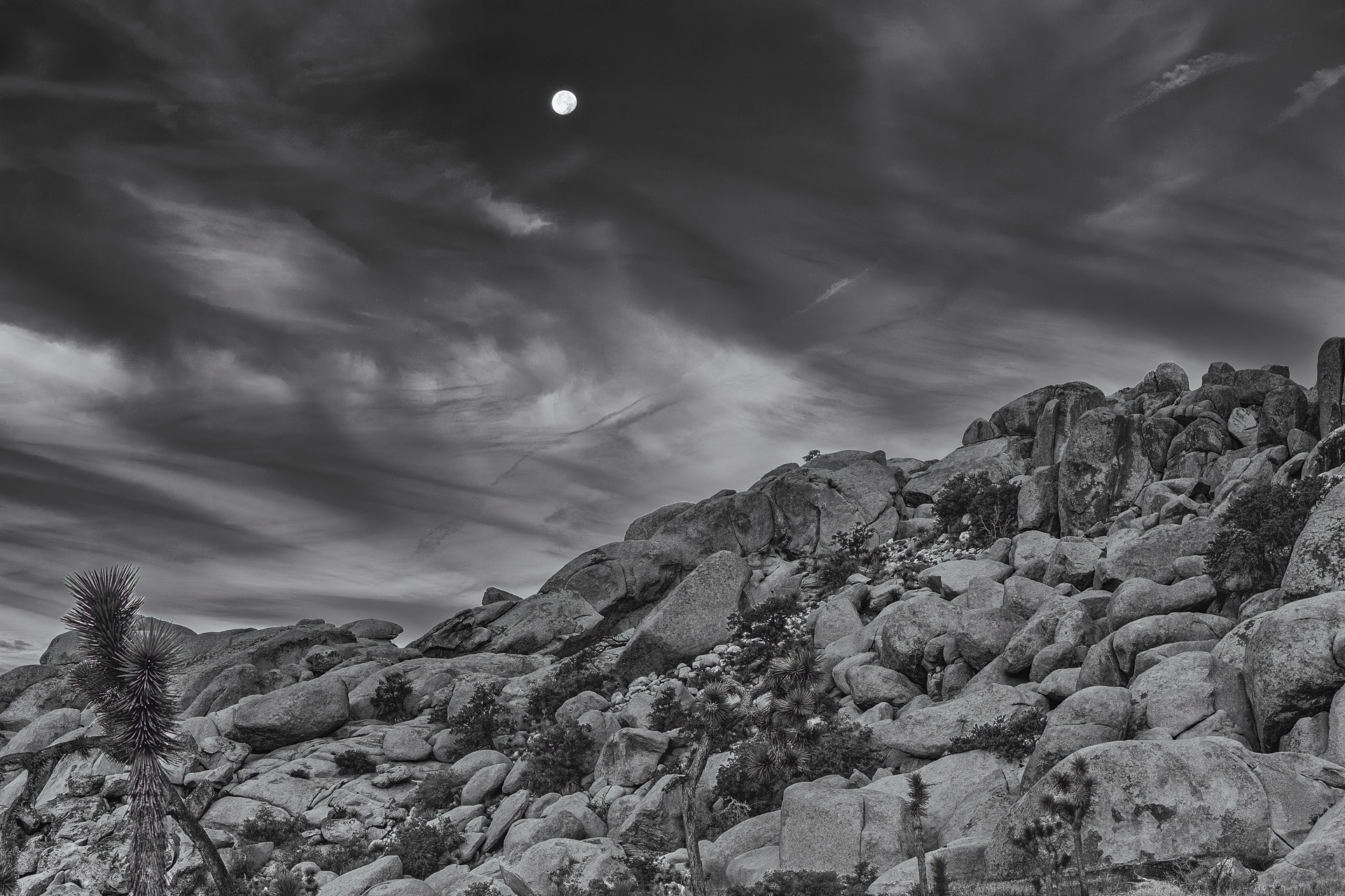 Joshua Tree NP at Night