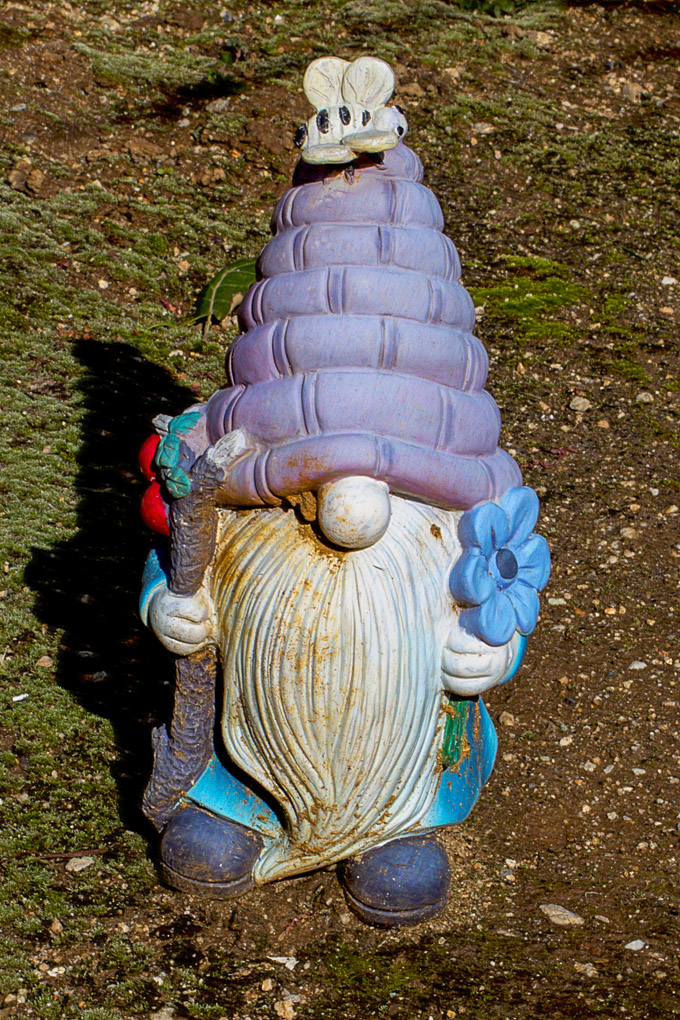 Garden Gnome