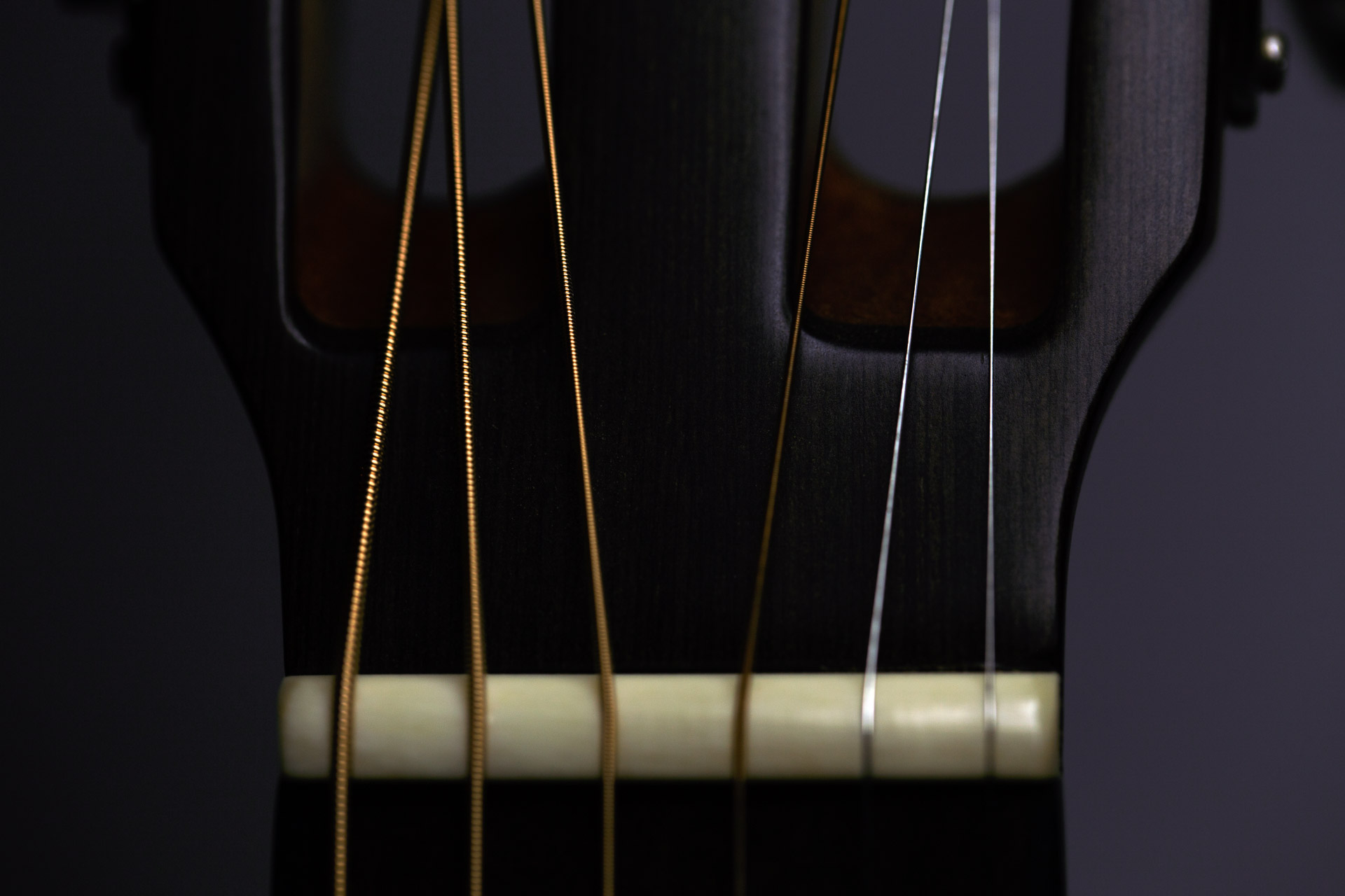 Guitar Nut